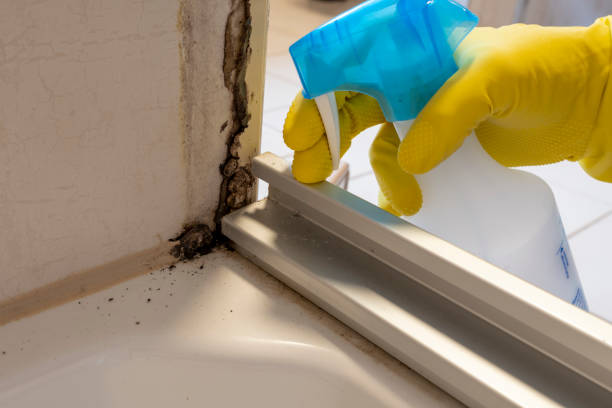 Best Emergency Mold Removal  in Fredonia, WI