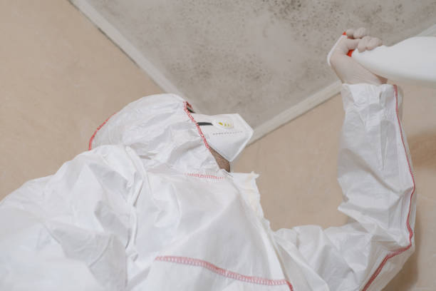 Best Mold Remediation  in Fredonia, WI