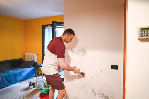 Best Water Damage Restoration  in Fredonia, WI